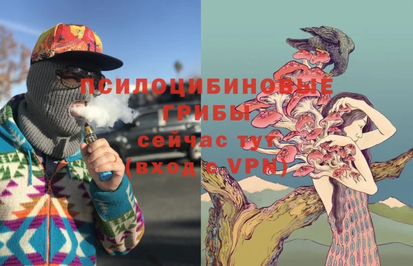 дживик Иннополис