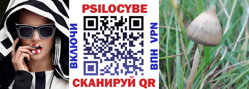 Купить закладки  Богородск  Галлюциногенные грибы MAGIC MUSHROOMS 